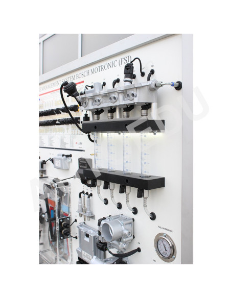 MSFSI02 Sistema de gestão do motor Bosch Motronic (FSI)