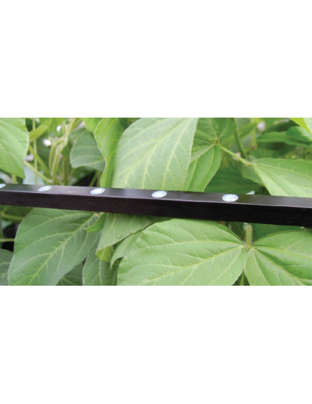 MQ-301X Medidor de mão Apogee com 10 sensores, cabo de 2 m, para LUZ PAR