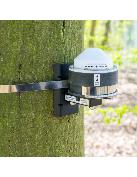 Dendrómetro DRL26D