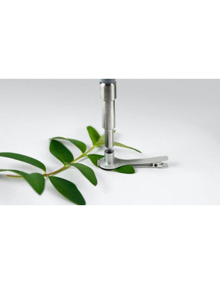 DLC-8 Dark Leaf Clip WALZ