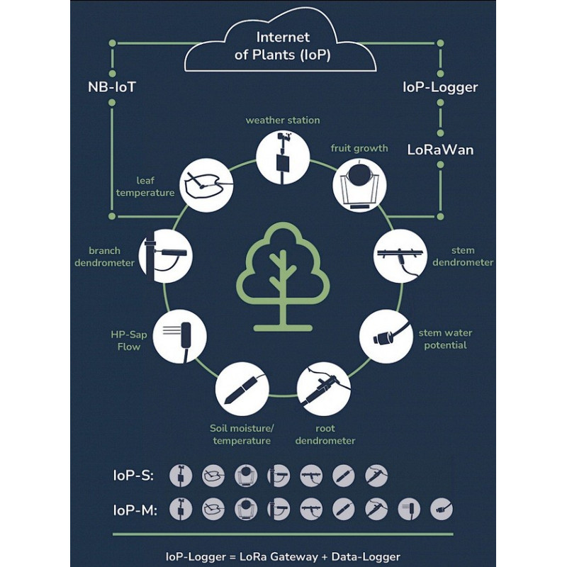 Ecomatik IoP Measurement Systems