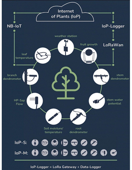 Ecomatik IoP Measurement Systems