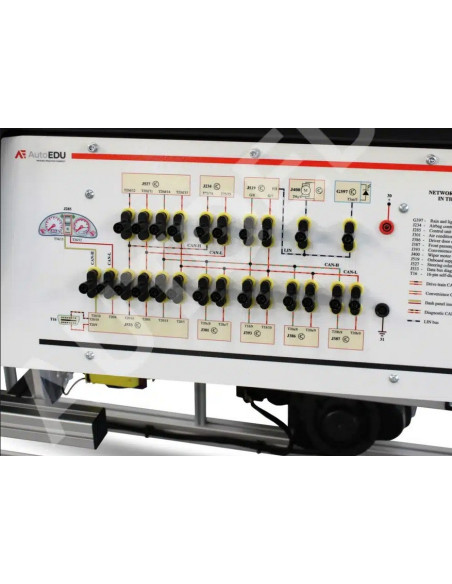 Instructor educativo de sistemas CAN y Lightning MSCAN03