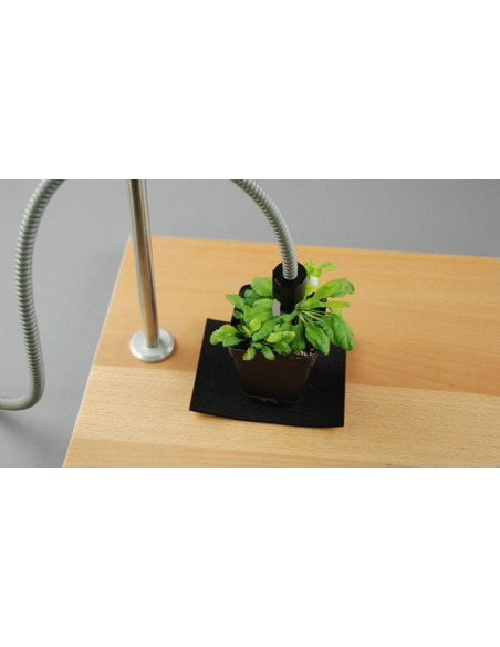 DUAL-BA Leaf Positioning Device WALZ