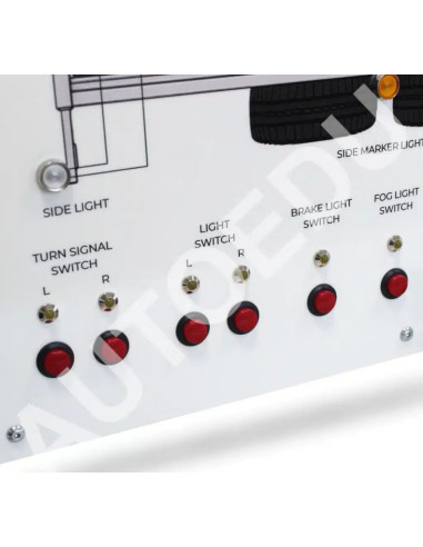 MSASTR01 Car Trailer Wiring Educational Trainer | AutoEDU