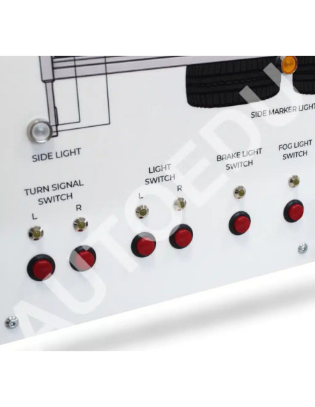 MSASTR01 Car Trailer Wiring Educational Trainer | AutoEDU