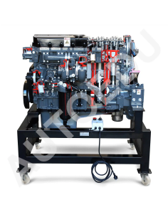 AE36083E motor diesel Iveco seccionado AutoEDU