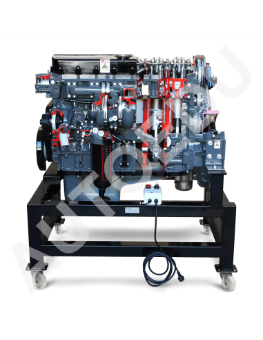 AE36083E motor diésel Iveco seccionado AutoEDU