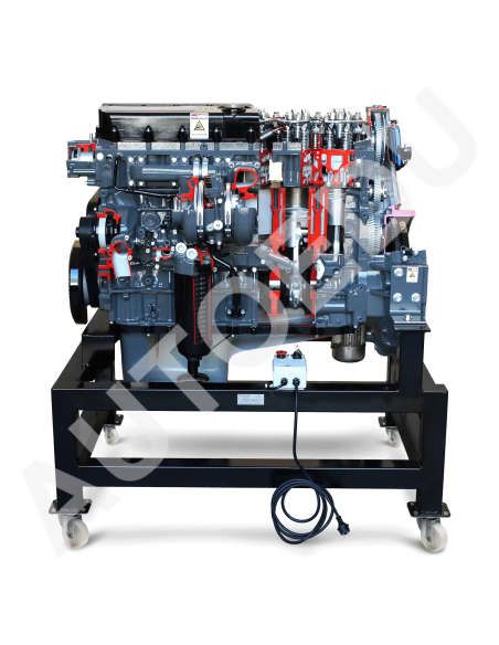 AE36083E motor diésel Iveco seccionado AutoEDU