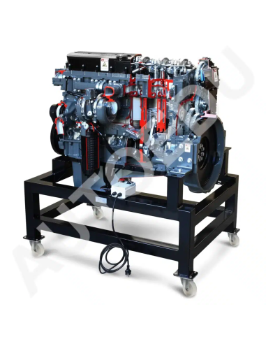 AE36083E Iveco diesel engine cutaway AutoEDU