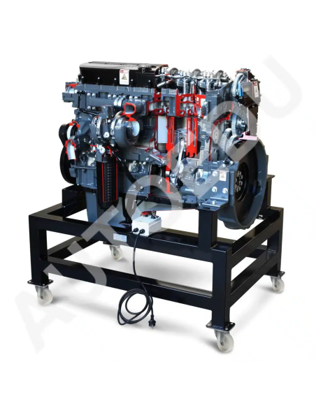 AE36083E Iveco diesel engine cutaway AutoEDU