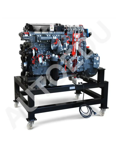 AE36083E motor diesel Iveco seccionado AutoEDU