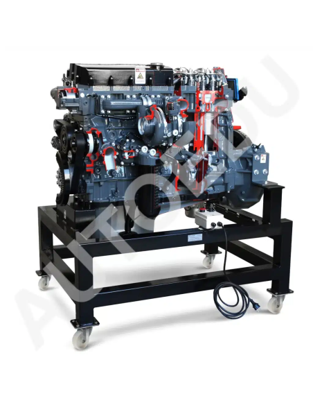 AE36083E motor diésel Iveco seccionado AutoEDU