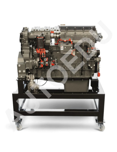AE36083E motor diésel Iveco seccionado AutoEDU