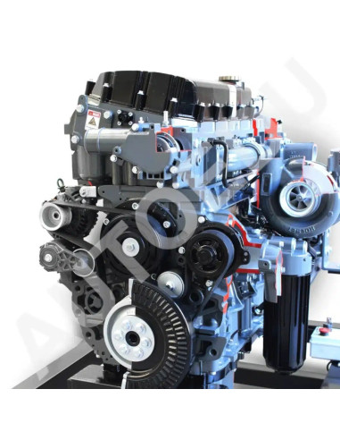 AE36083E motor diesel Iveco seccionado AutoEDU