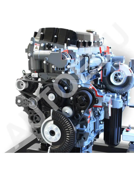 AE36083E motor diésel Iveco seccionado AutoEDU