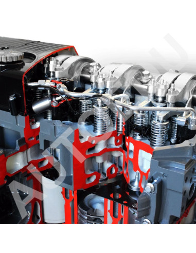 AE36083E motor diesel Iveco seccionado AutoEDU