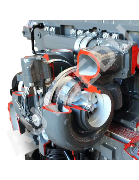 AE36083E motor diesel Iveco seccionado AutoEDU