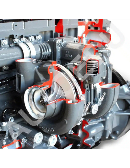 AE36083E motor diésel Iveco seccionado AutoEDU
