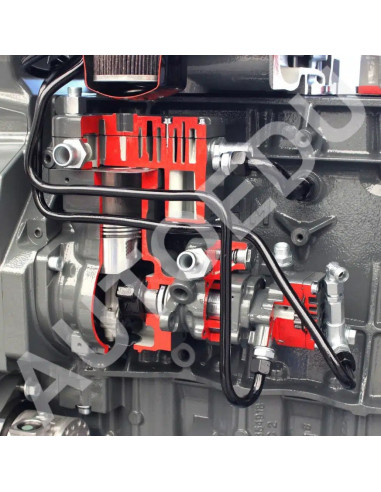 AE36083E motor diésel Iveco seccionado AutoEDU