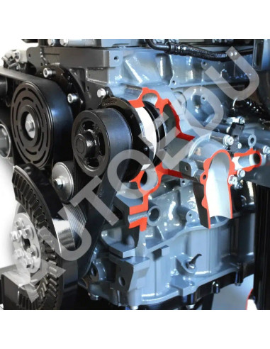 AE36083E motor diesel Iveco seccionado AutoEDU