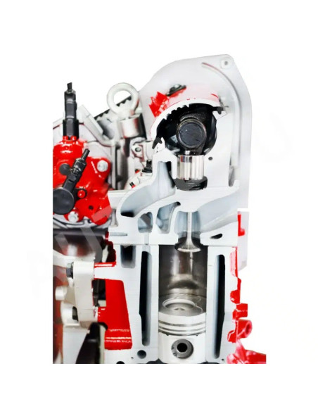 IVOD01-CR01 half cutaway diesel engine AutoEDU