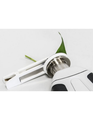 Leaf-Clips Detachable Leaf-Clips (10-piece set)