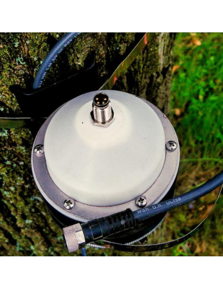 Perimeter Dendrometer DRL26D