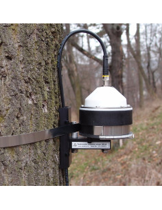 DRS26 band dendrometer for large trees | EMS