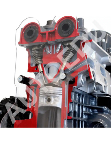 IVDB01 Modelo Seccionado do Motor de Gasolina DOHC FSI