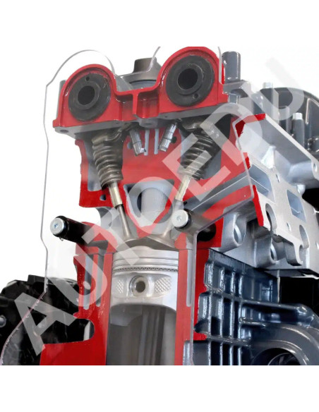 IVDB01 Modelo Seccionado de Motor de Gasolina DOHC FSI