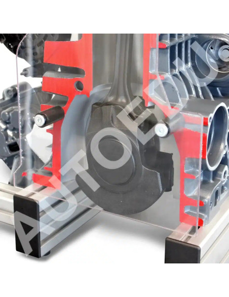 IVDB01 Modelo Seccionado de Motor de Gasolina DOHC FSI