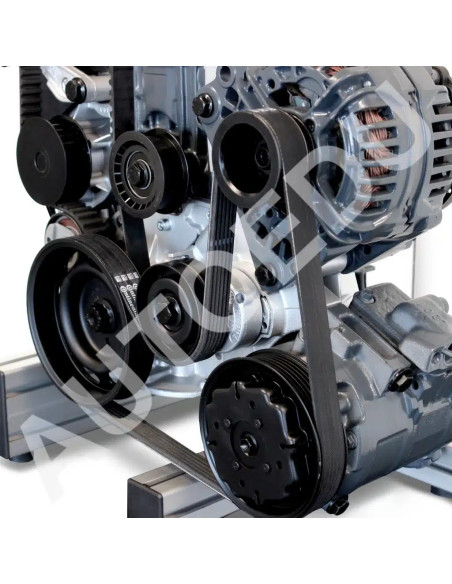 IVDB01 Modelo Seccionado do Motor de Gasolina DOHC FSI