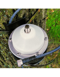 DR26 dendrometro de banda para arvores grandes 2