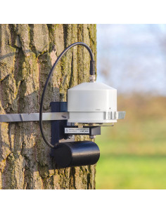 DRT27 LTE dendrómetro IoT EMS para tronco