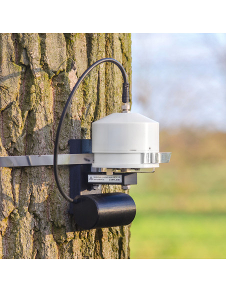 DRT27 LTE IoT dendrometer EMS for trunk monitoring