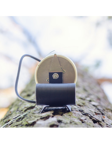 DRT27 LTE IoT dendrometer EMS for trunk monitoring