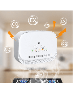 BH-H9 domestic gas alarm with laser sensor