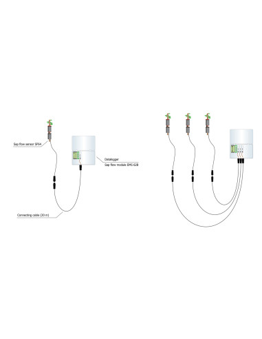 EMS62 sistema de fluxo de seiva para arvores