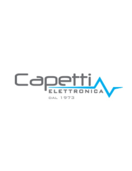 WSD19TII biaxial tilt and temperature logger | Capetti