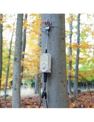 EMS81 DL EMS Brno sap flow system