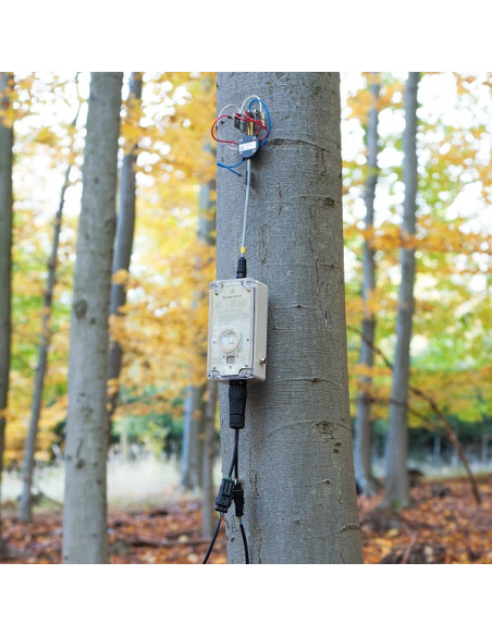 EMS81 DL EMS Brno sap flow system