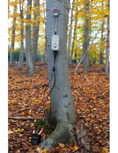 EMS81 DL EMS Brno sap flow system
