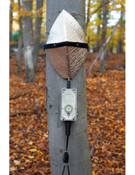 EMS81 DL EMS Brno sap flow system