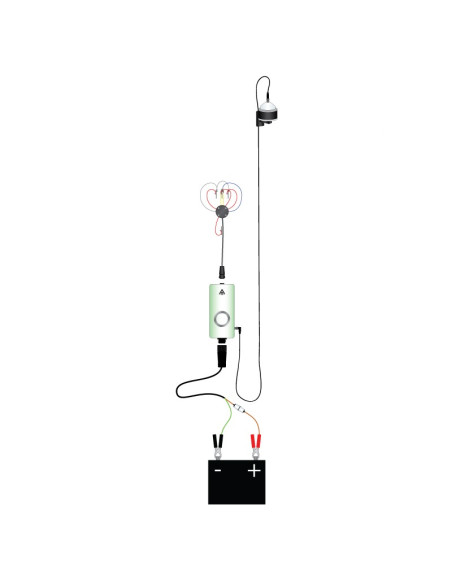 EMS81 DL EMS Brno sap flow system