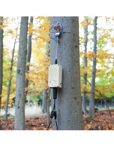 EMS81 SDI-12 EMS Brno sap flow system