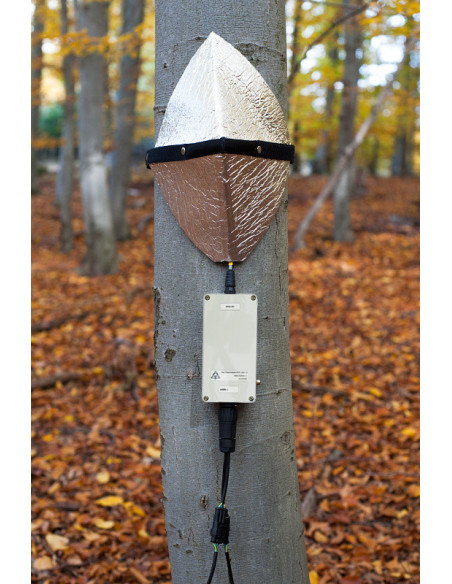 EMS81 SDI-12 EMS Brno sap flow system