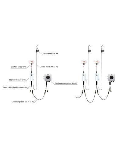 EMS81 SDI-12 EMS Brno sap flow system