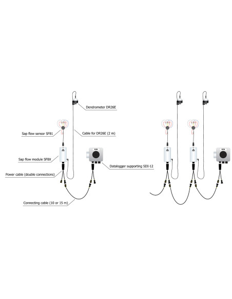 EMS81 SDI-12 EMS Brno sap flow system