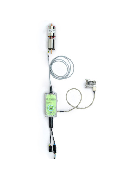 EMS64 DL EMS Brno sap flow system